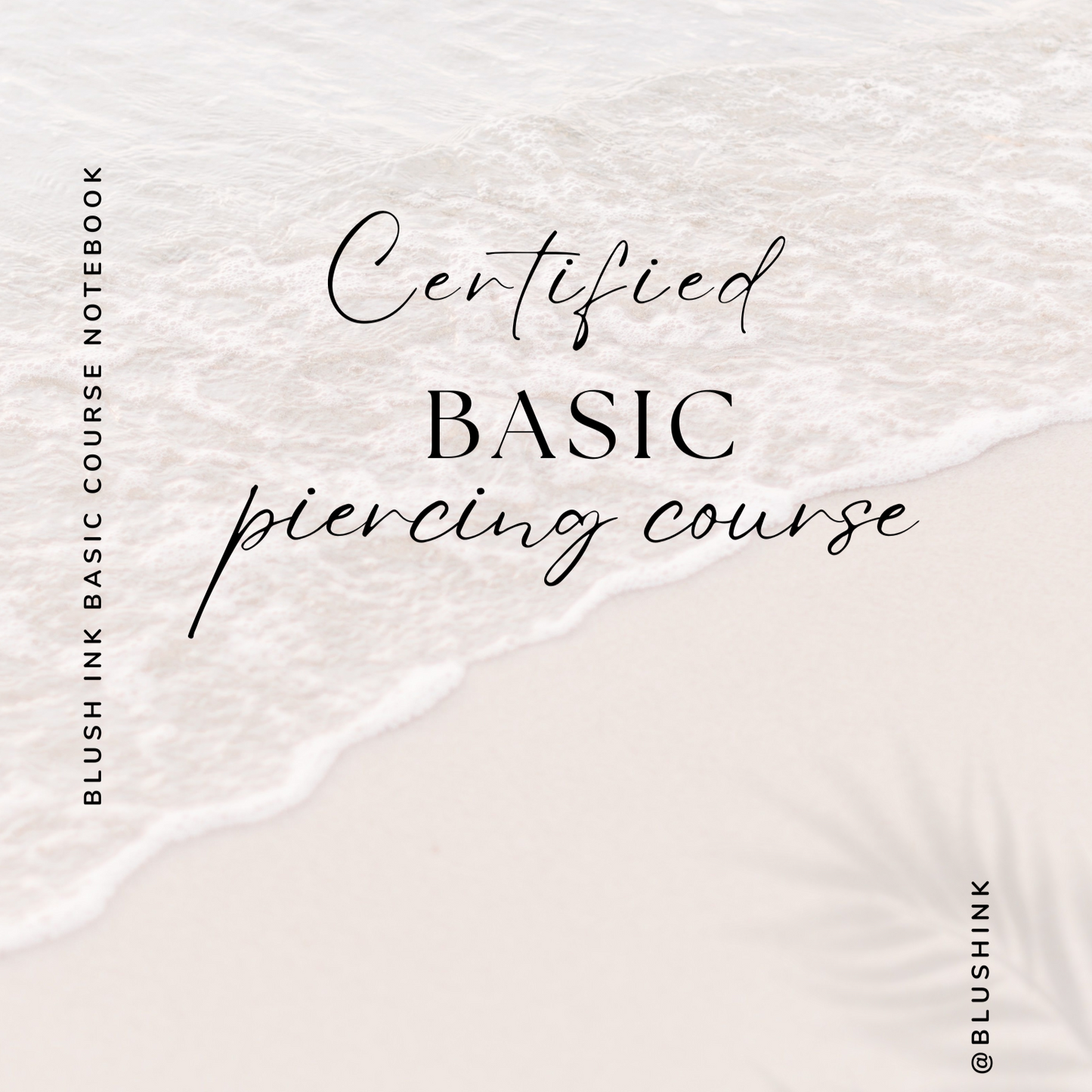 2 Day Basic Piercing Training May 22-23