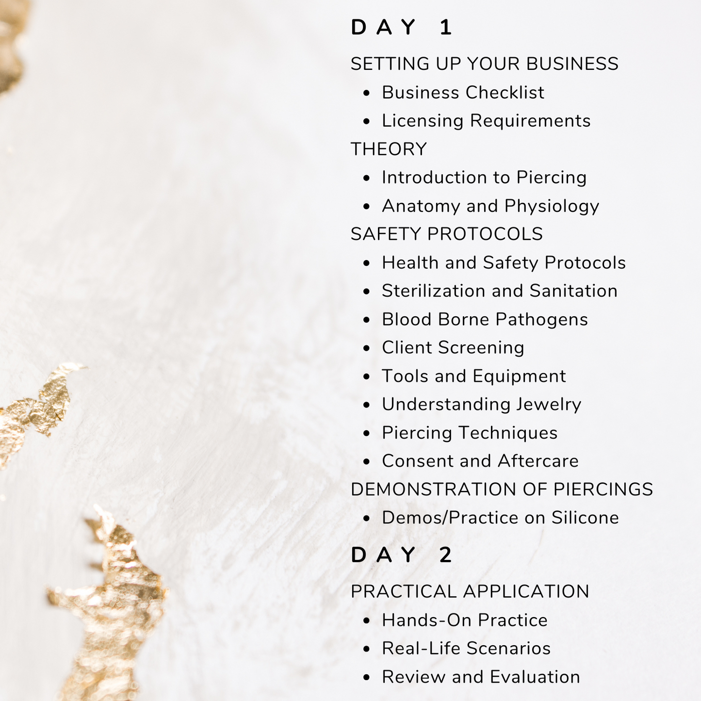 2 Day Basic Piercing Training May 22-23