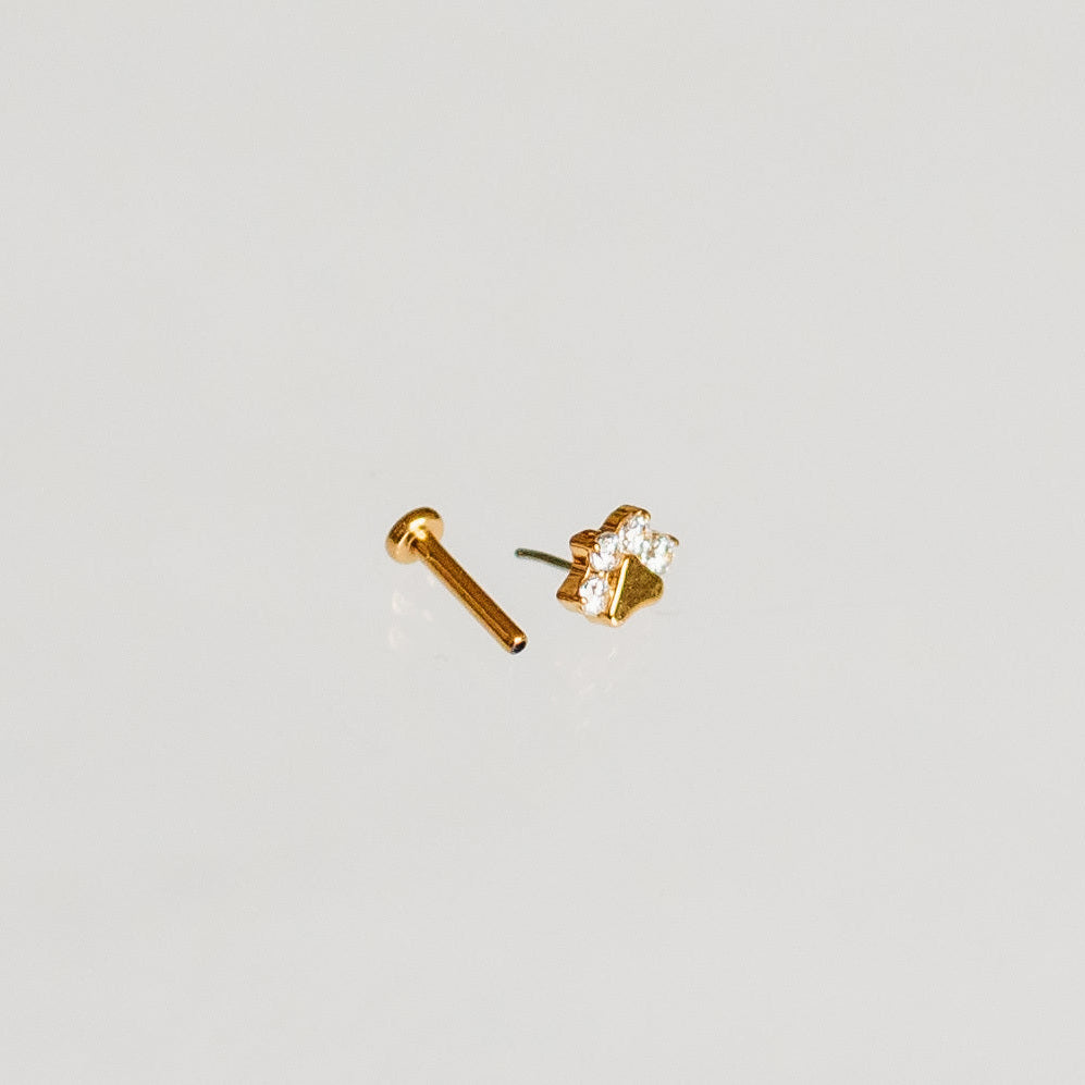 Paw Print Flat Back Earring